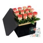 Box Cuadrado 12 Rosas Rosadas