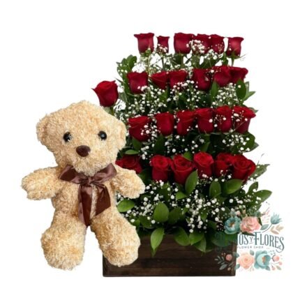 Arreglo 24 Rosas + Peluche