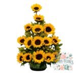 Arreglo 15 Girasoles