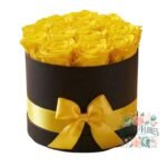 Majestic Love Box Amarillas