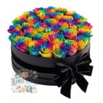 Box 24 Rosas Arcoiris