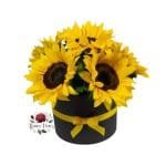 Box Cilindro 6 Girasoles