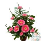 Arreglo en Cesta De Gerberas + Claveles en Tono Rosa