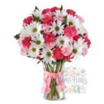 Florero De Margaritas + Mix de Claveles