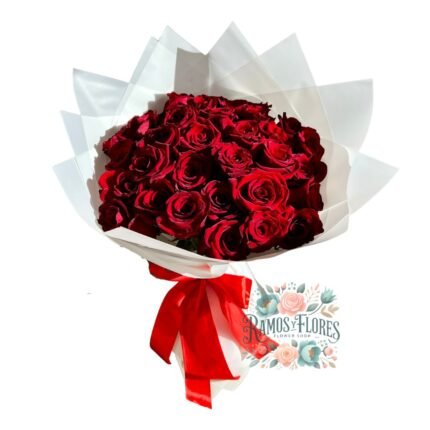 Ramo Buchón de 50 Rosas