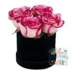 Box Cilindro 4 Rosas Rosadas
