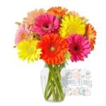 Florero De 14 Gerberas
