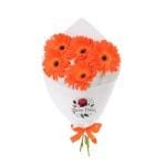 Ramo 5 Gerberas