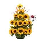 Arreglo 15 Girasoles