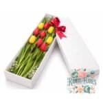 Caja 10 Tulipanes