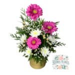 Arreglo Gerberas Rosadas