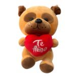 Oso Con Corazón 22cm