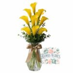 Florero 10 Calas