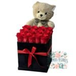 Box 10 Rosas + Peluche
