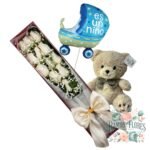 Caja 12 Rosas + Peluche + Globo