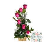 Arreglo 6 Rosas