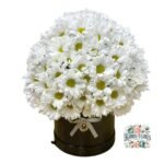 Box Margaritas Blancas