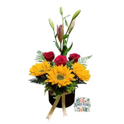 Box Cilindro Rosas + Girasoles + Lirios