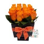 Box 16 Rosas